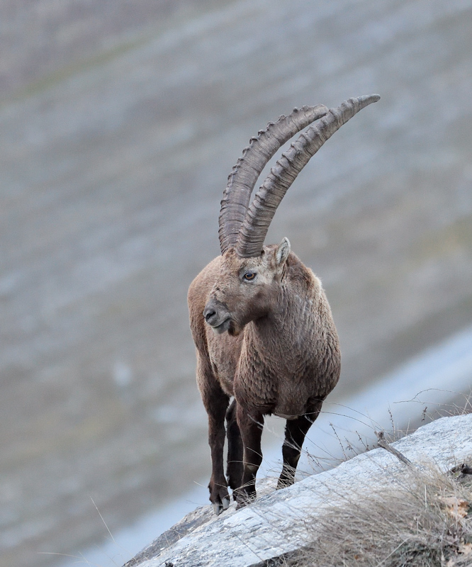 DS5_6977.jpg