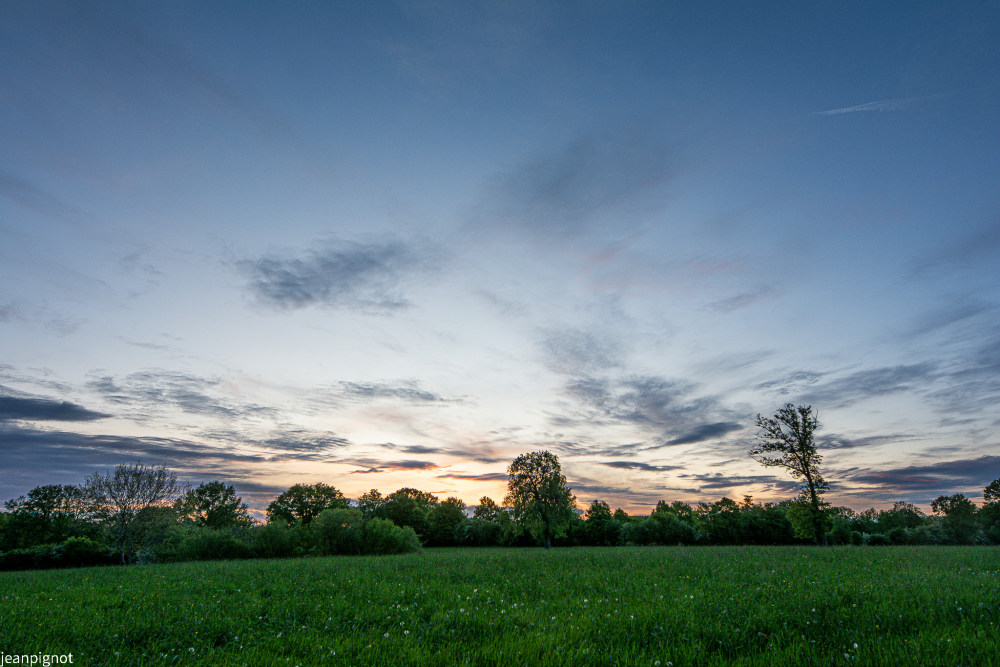 DSC_2933_1378.JPG