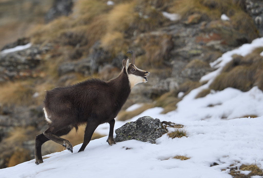 DS5_6009.jpg