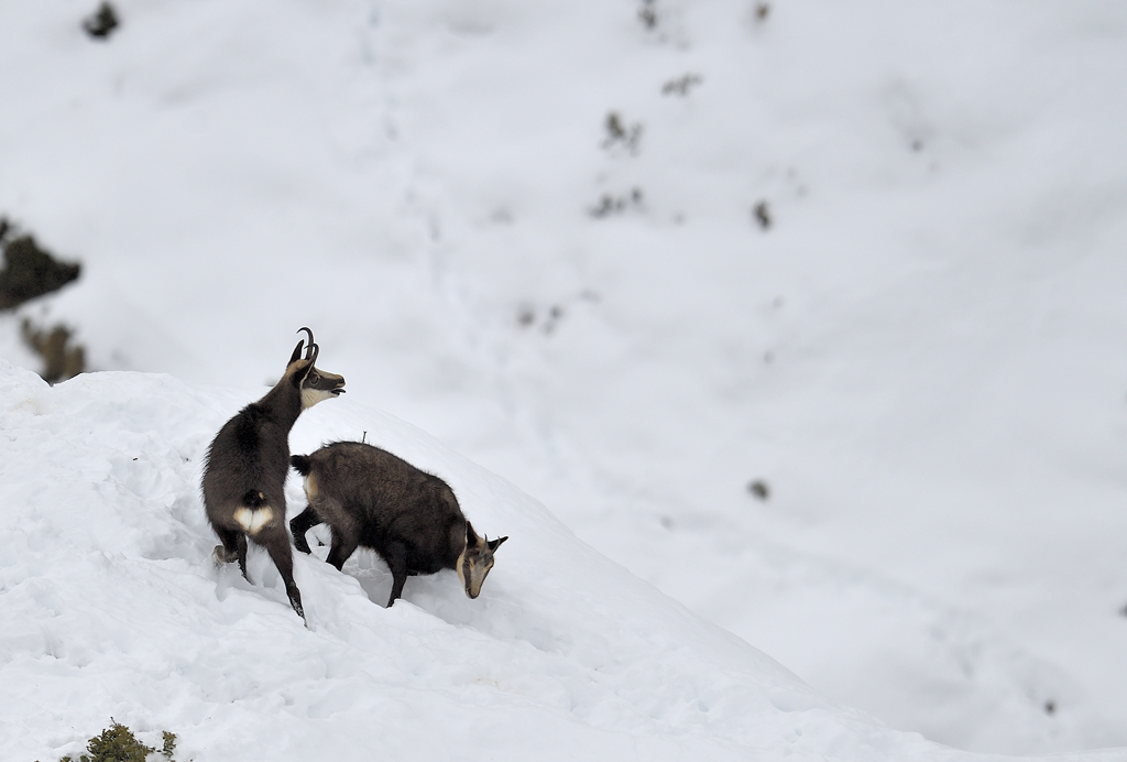 DS5_6067.jpg