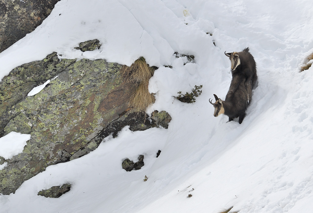 DS5_6129.jpg