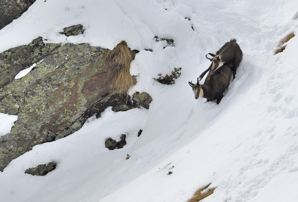 DS5_6134.jpg