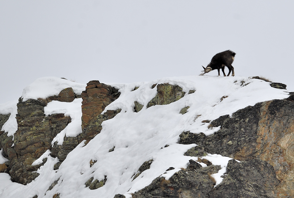 DS5_6161.jpg