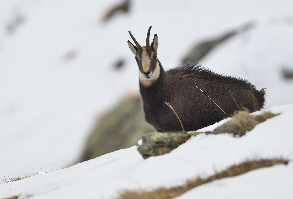 DS5_6180.jpg