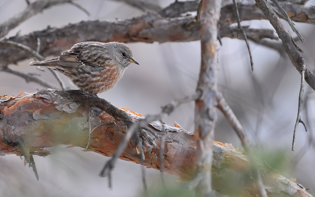 DS5_7015.jpg