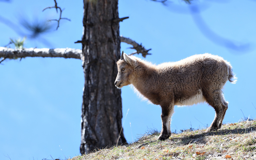 DS5_7127.jpg