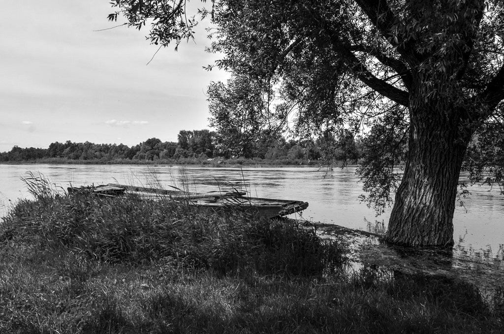 1-1-Chaumont sur Loire -bis-.jpg