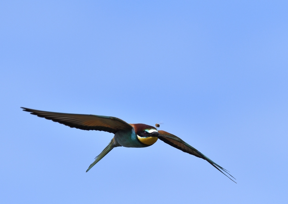 DSC_3544_01.JPG