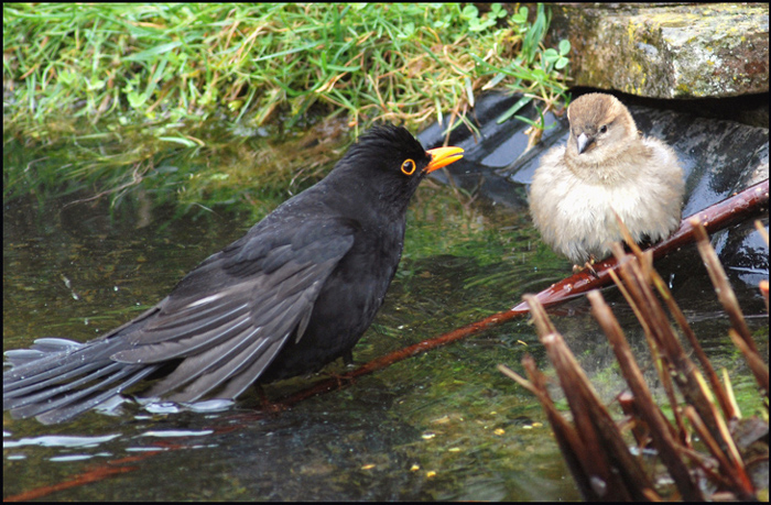 Conversation...+.jpg
