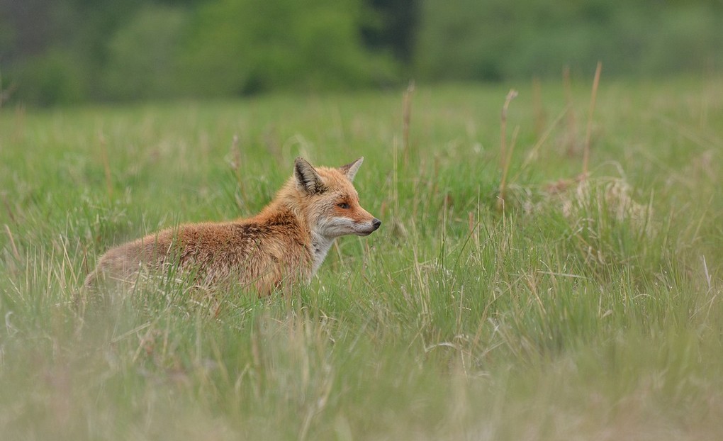 DSC_5079.JPG