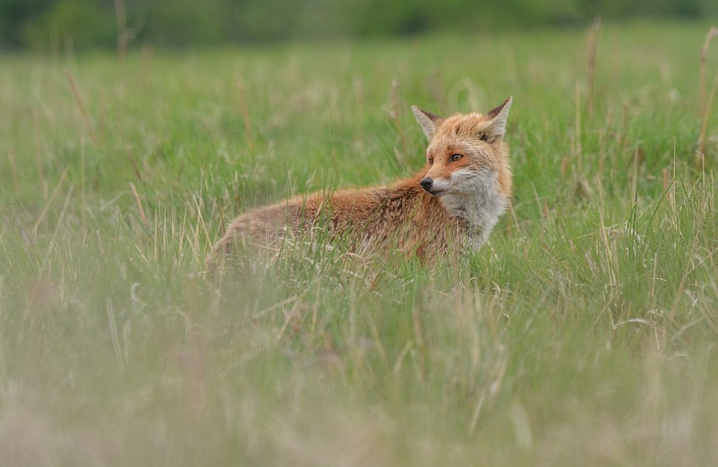 DSC_5080.JPG