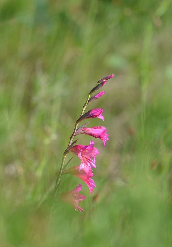 DSC_5506.JPG