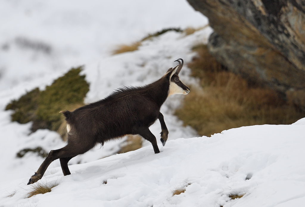 DS5_6182.jpg