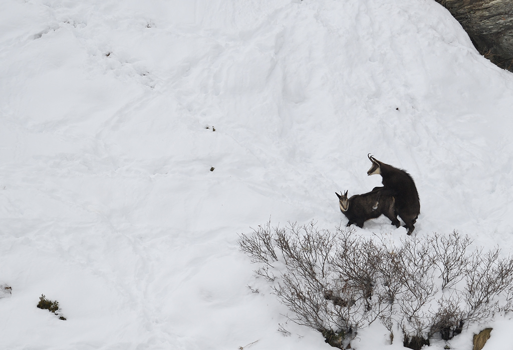 DS5_6186.jpg