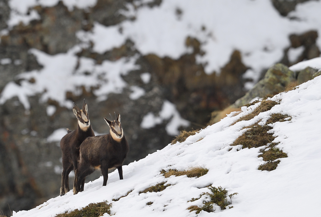 DS5_6205.jpg