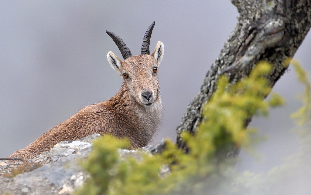 DS5_7462.jpg