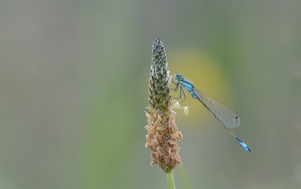 DSC_5599.JPG