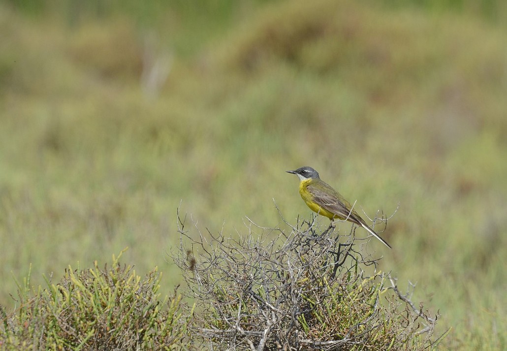 DSC_6413.JPG