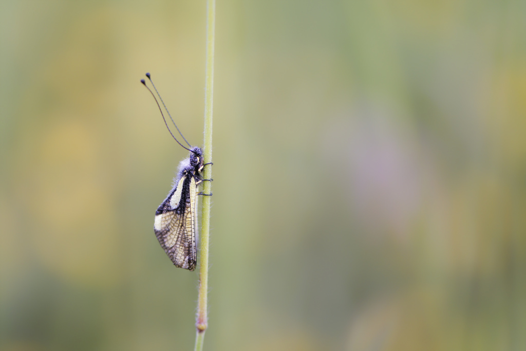 _DSC8437_DxO_DxO.jpg