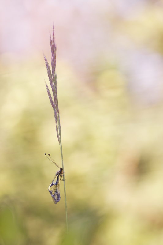 _DSC8469_DxO_1_DxO.jpg