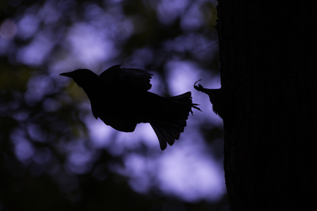 _DSC8769_DxO_DxO.jpg