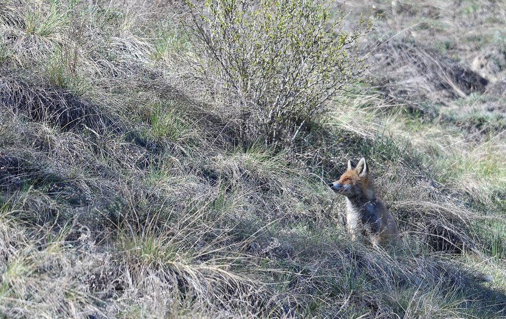 DSC_6932.jpg