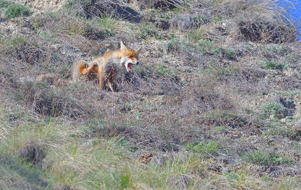 DSC_6963.jpg
