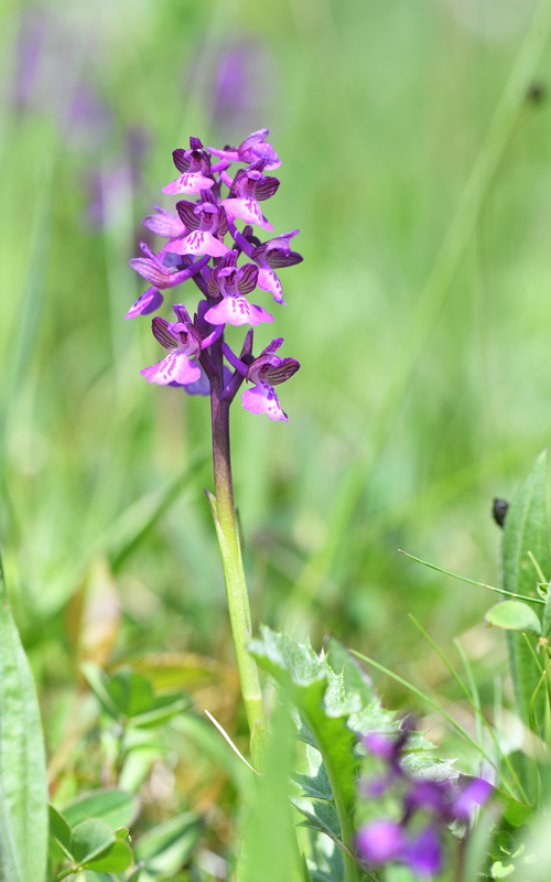 DS5_8009.jpg