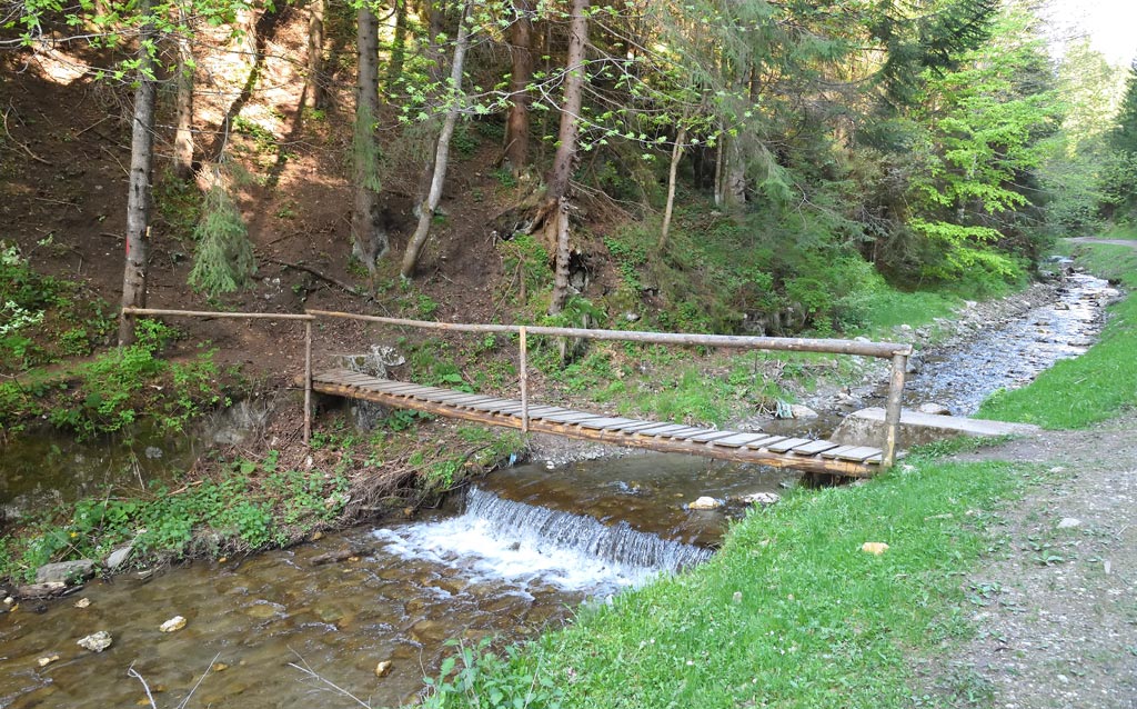 DS5_8022.jpg
