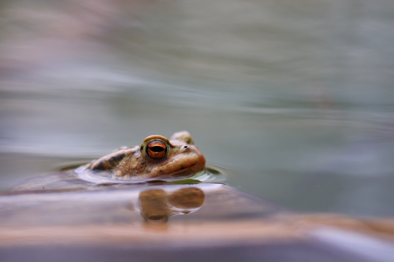 DSC_7475.jpg