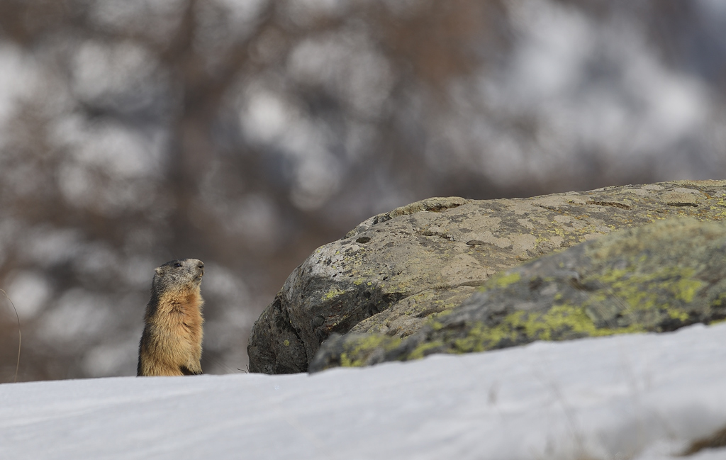 DS5_7672.jpg