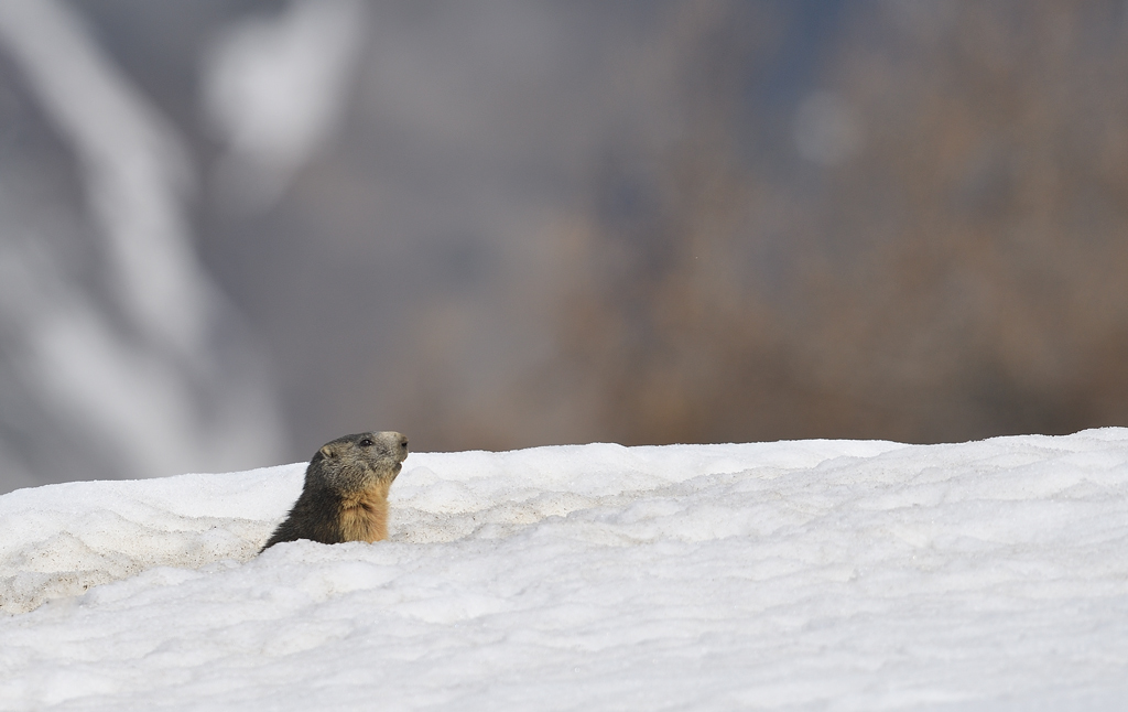 DS5_7673.jpg