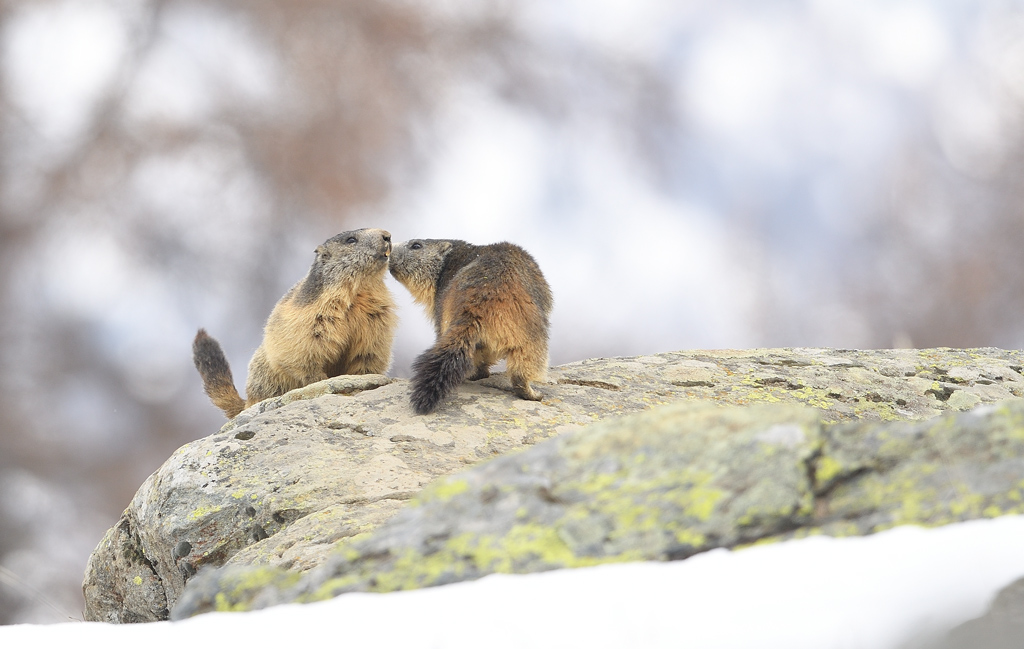 DS5_7691.jpg