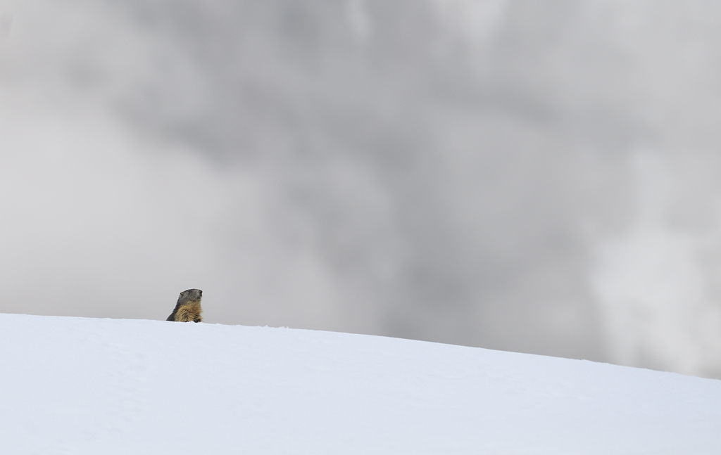 DS5_7718.jpg