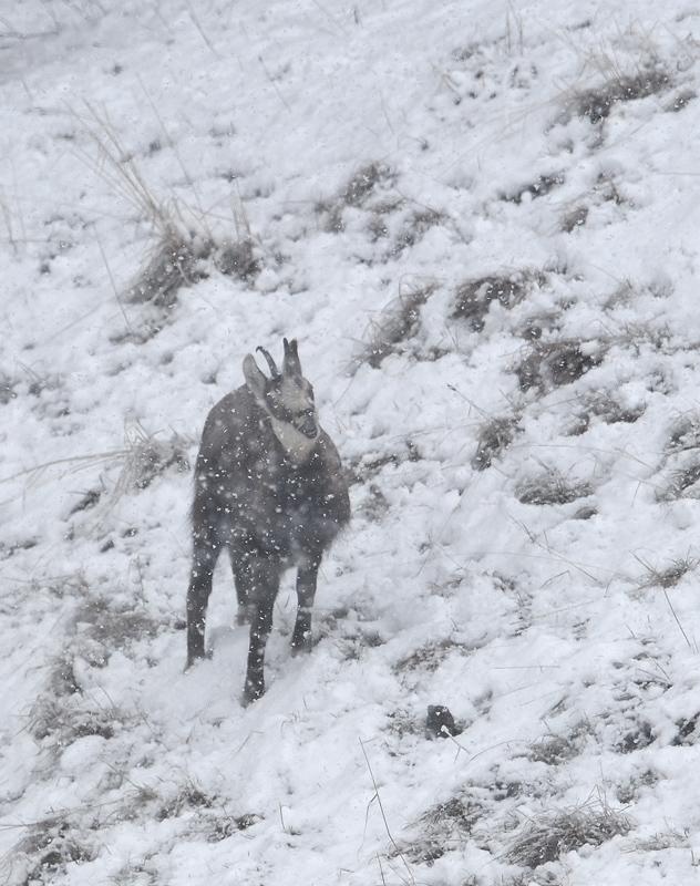 DS5_7751.jpg