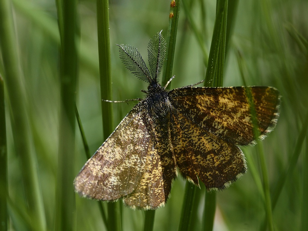D 4444_1_03.jpg