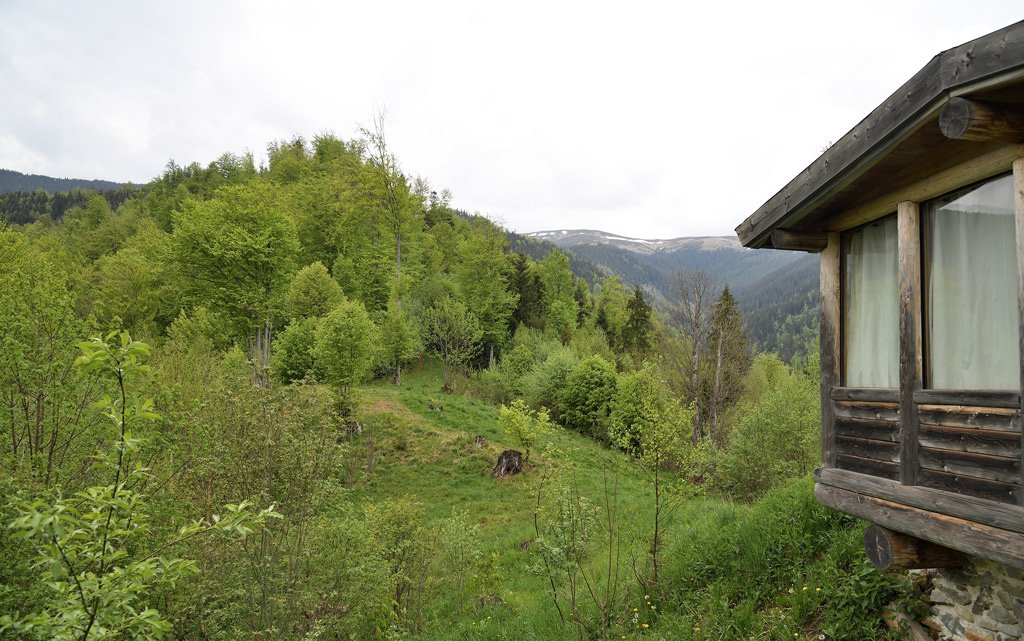 DS5_8335.jpg