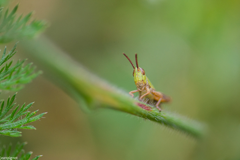 DSC_6947_1644.JPG