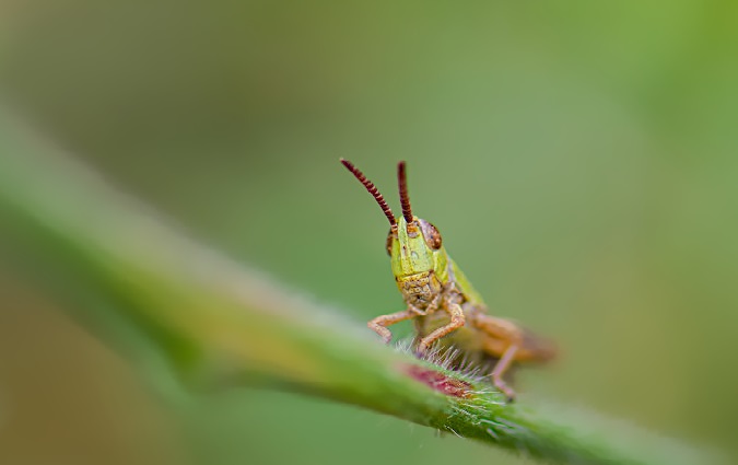 DSC_6947_1644_01.jpg