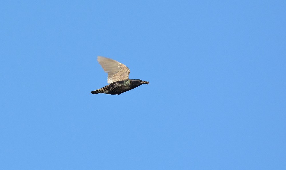 DSC_7112.JPG