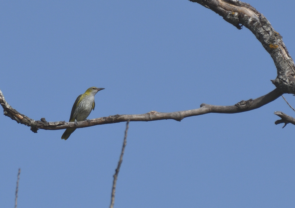 DSC_6119.JPG