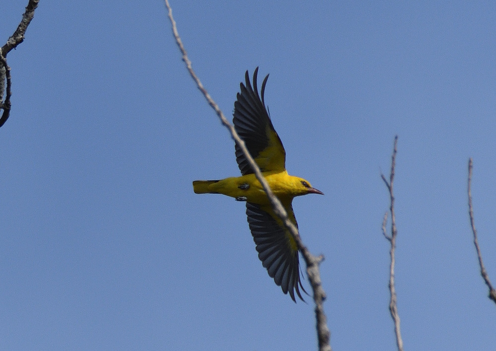 DSC_6149.JPG