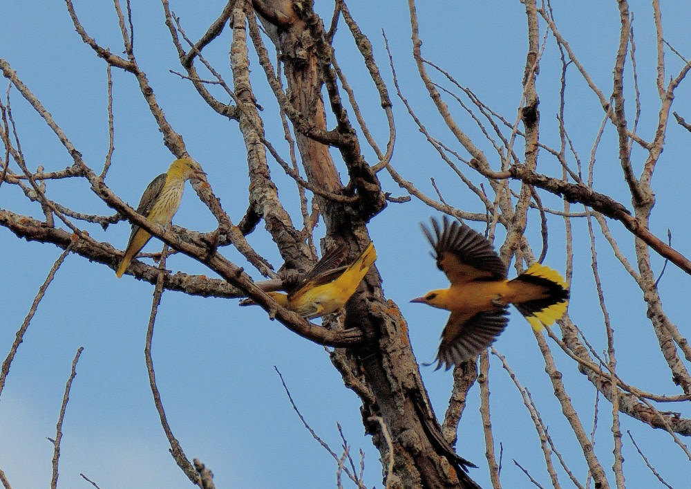DSC_5759.JPG