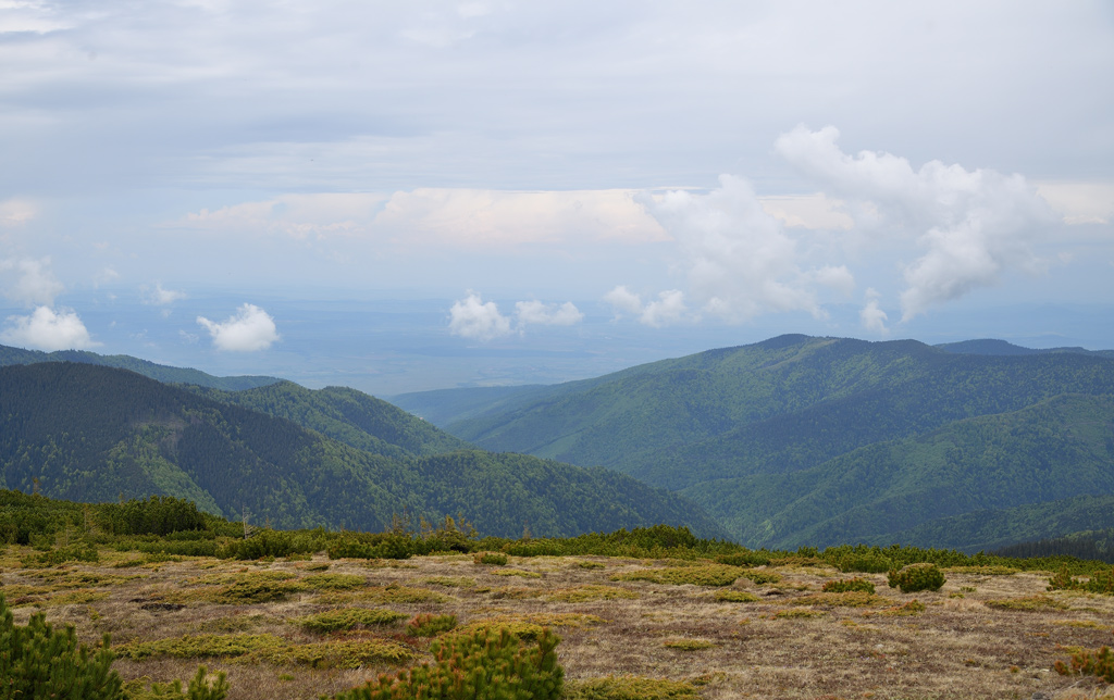 DS5_8338.jpg