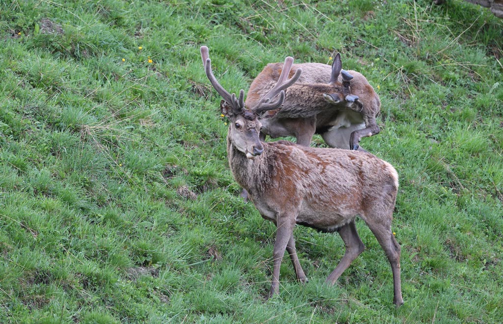 DS5_7765.jpg