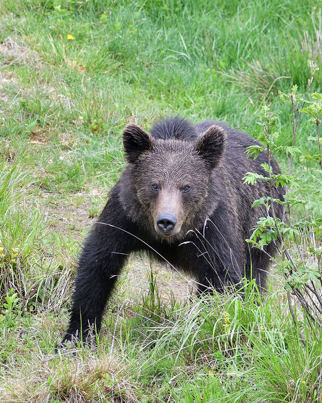 DSC_7428.jpg
