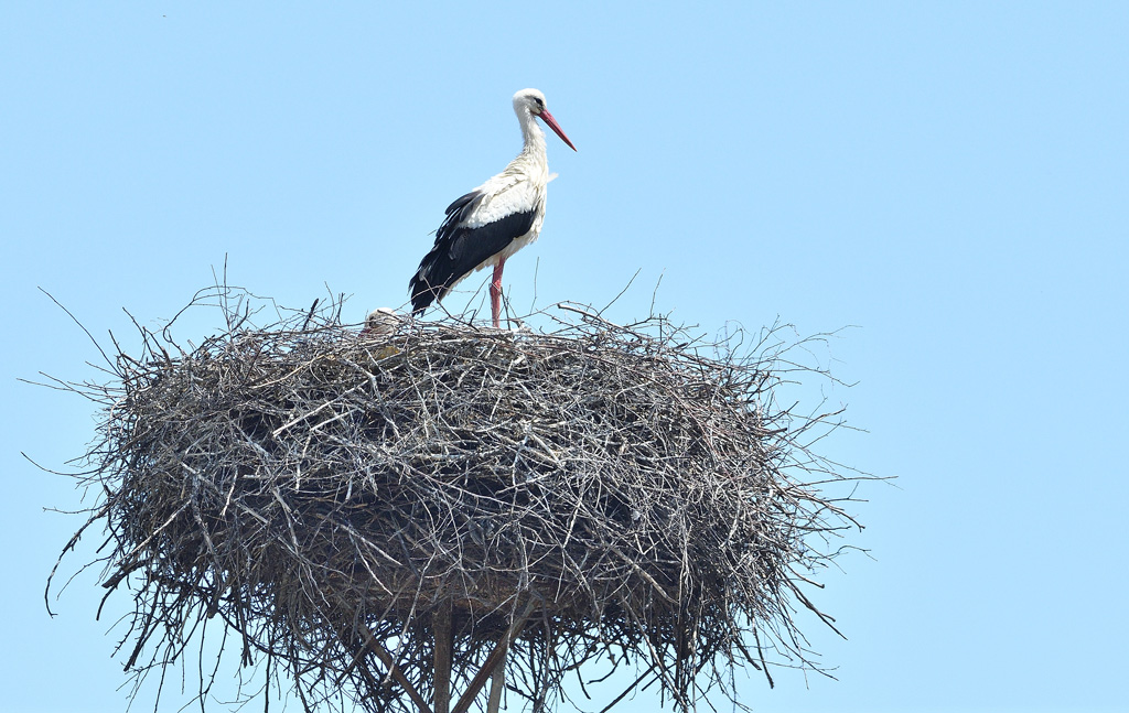 DSC_7473.jpg