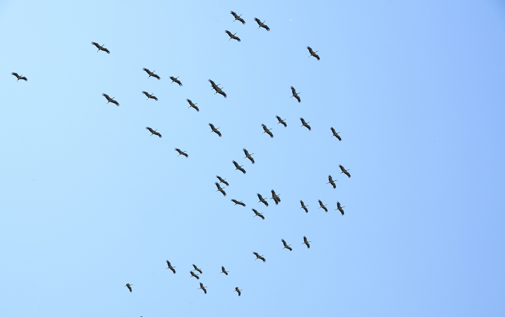 DS5_8372.jpg