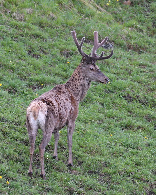 DS5_7768.jpg