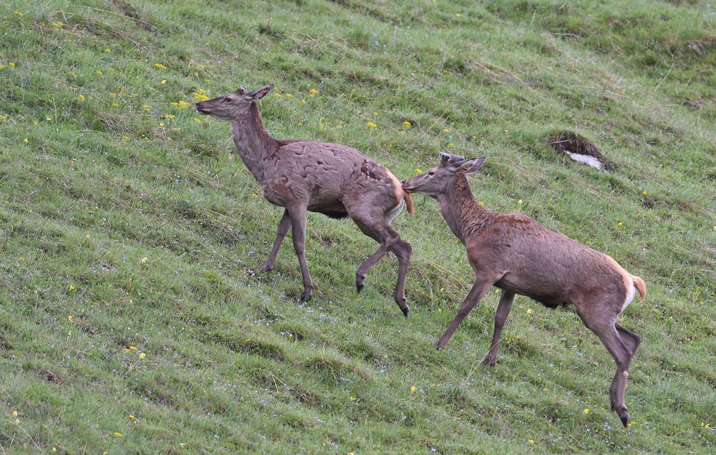 DS5_7774.jpg